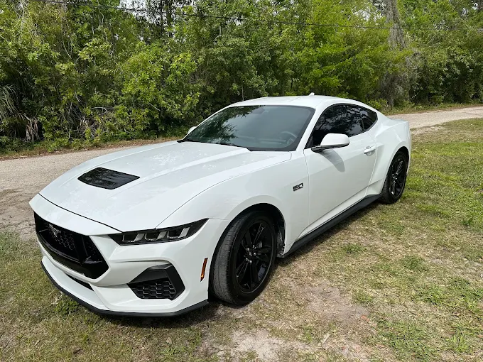 White Ford Mustang GT detailed by Acton Detailing in Lutz, Florida
